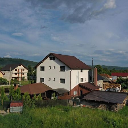 Pensiunea Lacul Albesti Albestii Paminteni Zewnętrze zdjęcie