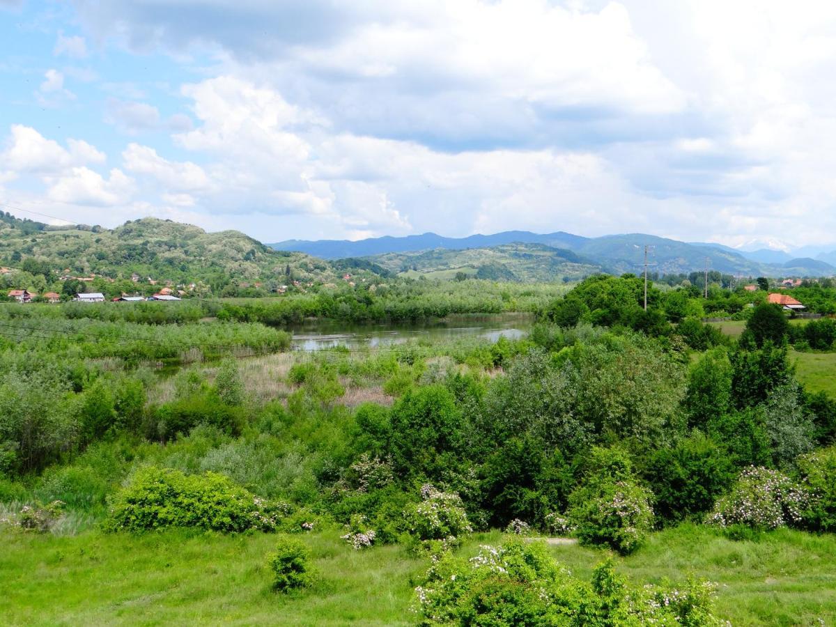 Pensiunea Lacul Albesti Albestii Paminteni Zewnętrze zdjęcie