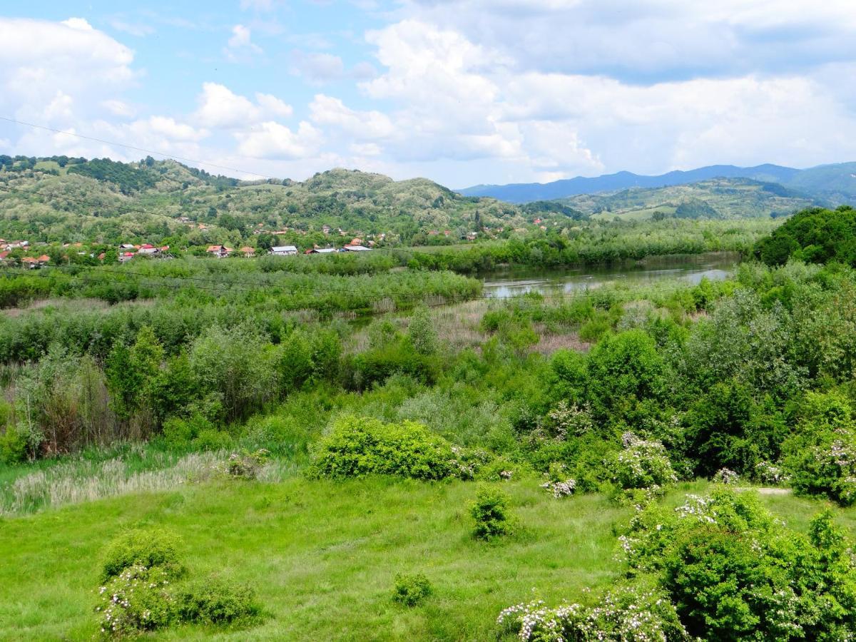 Pensiunea Lacul Albesti Albestii Paminteni Zewnętrze zdjęcie
