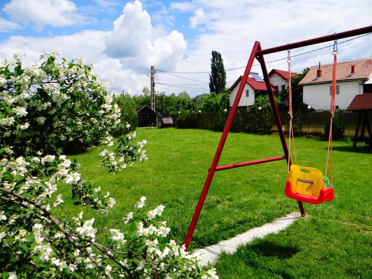 Pensiunea Lacul Albesti Albestii Paminteni Zewnętrze zdjęcie