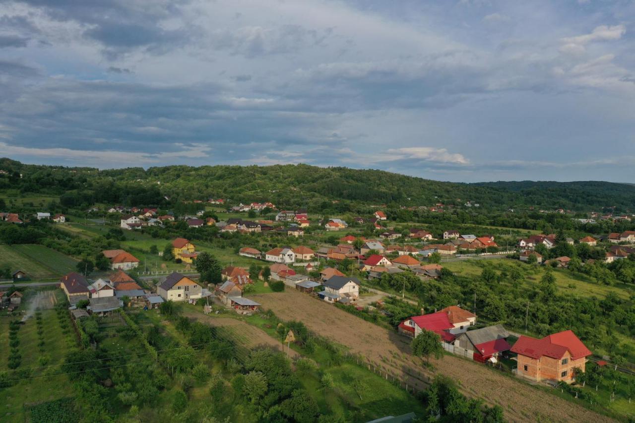Pensiunea Lacul Albesti Albestii Paminteni Zewnętrze zdjęcie