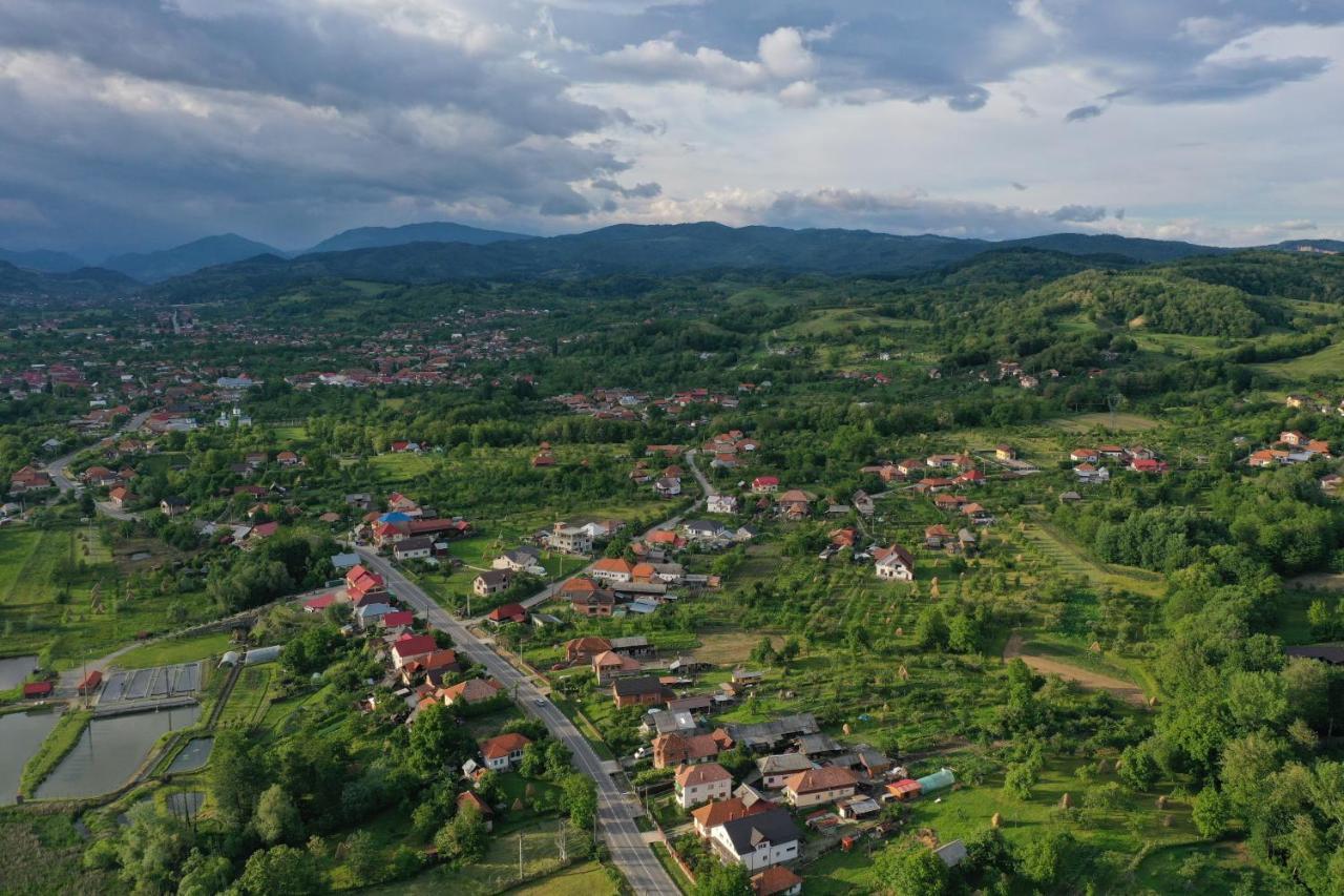 Pensiunea Lacul Albesti Albestii Paminteni Zewnętrze zdjęcie